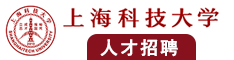 美国黄色的大奶子