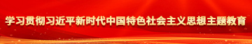 又粗又硬又长又黑,又大艹逼视频学习贯彻习近平新时代中国特色社会主义思想主题教育
